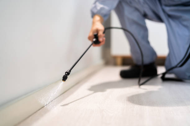 Bed Bug Pre-Treatment Preparation Assessment in Exeter