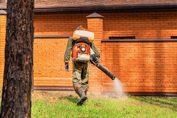 Bed Bug Clearance Verification and Documentation in Exeter